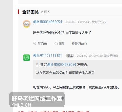 论坛回帖截图：网友质疑还有人做SEO吗